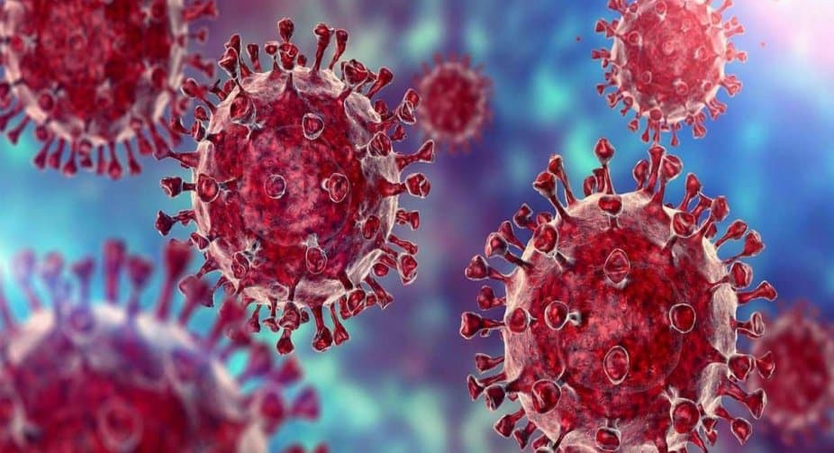 Georgia reports record high 24,201 daily cases of Covid, PM re-infected