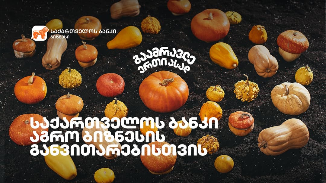გაამრავლე ერთი ასად – “საქართველოს ბანკმა” აგრობიზნესის მხარდასაჭერი კამპანია დაიწყო