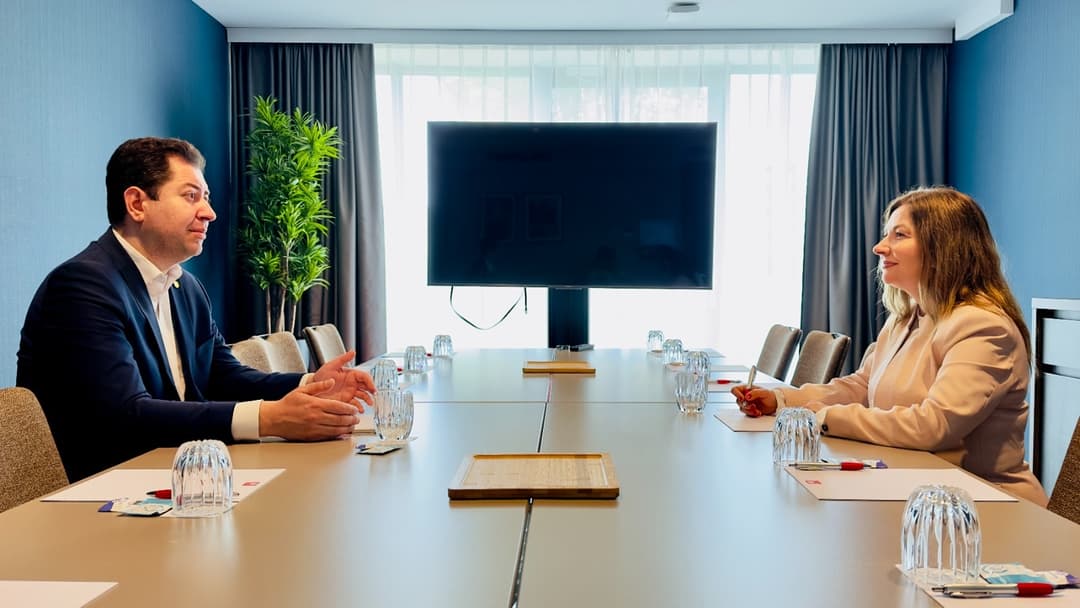 დავით ფაცაციამ ნიდერლანდების სამეფოში სამუშაო შეხვედრა გამართა