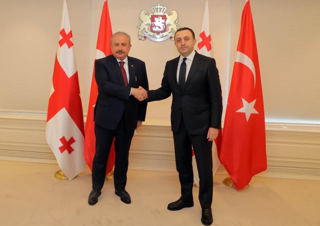 პრემიერ-მინისტრი თურქეთის რესპუბლიკის დიდი ეროვნული ასამბლეის თავმჯდომარეს შეხვდა