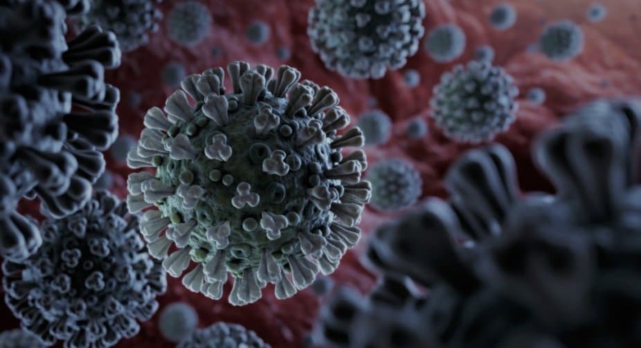 Coronavirus in Georgia: new cases stand at 4,128, deaths hit record high 79