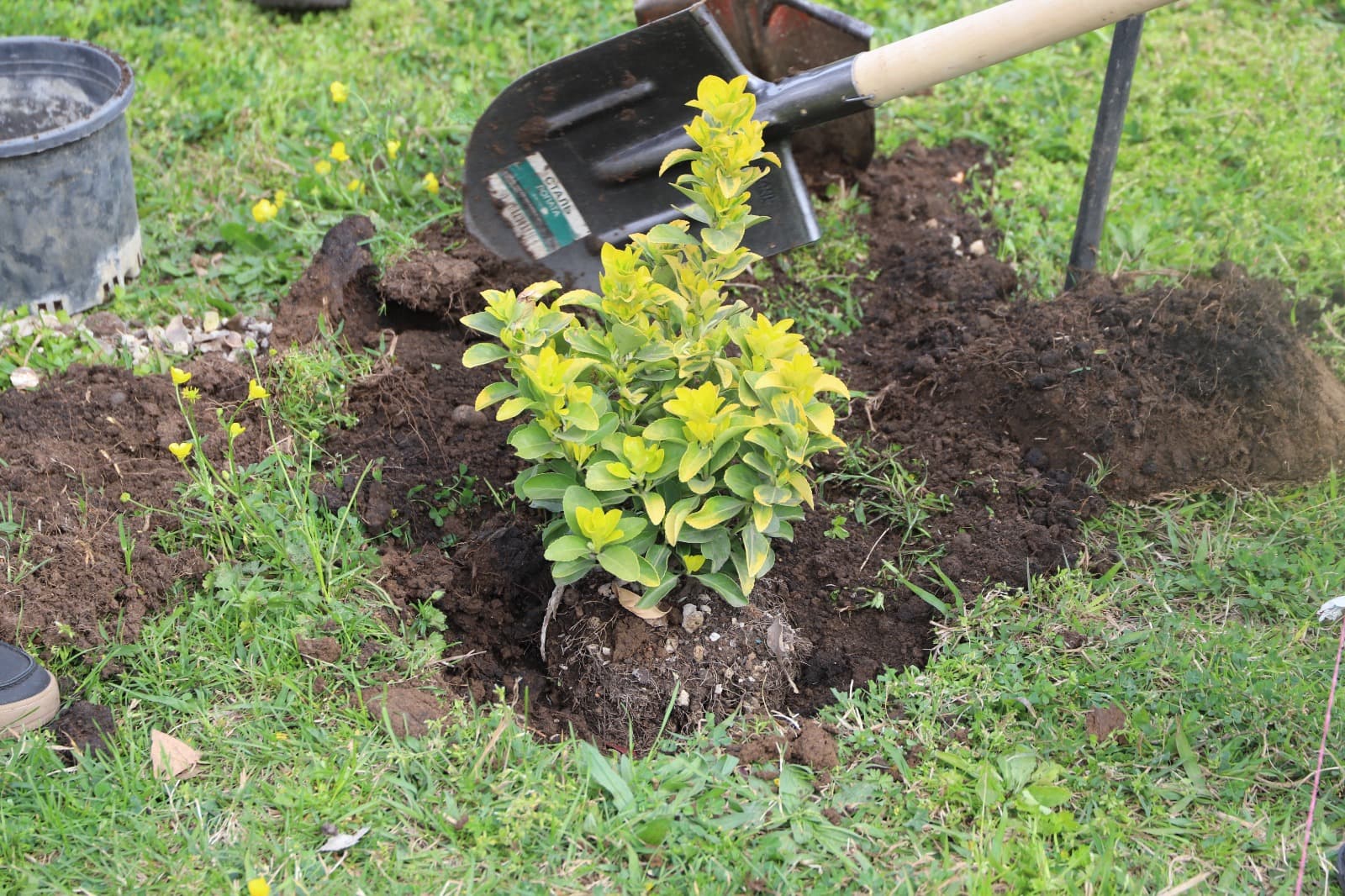 Frontnews image description