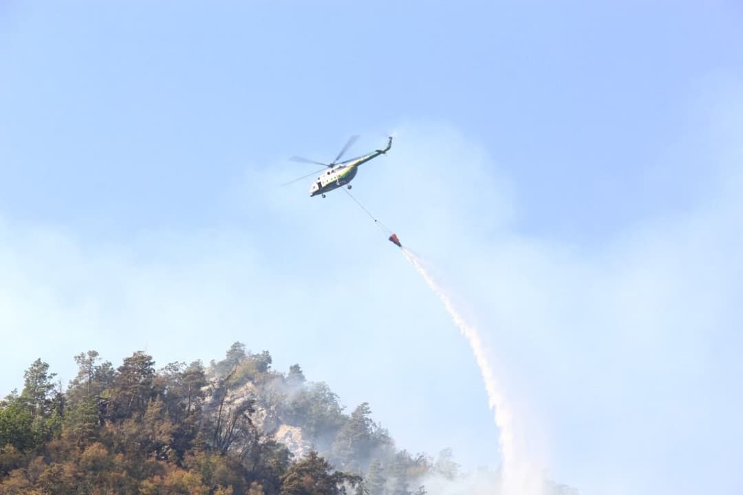 ბორჯომში ხანძრის ქრობის პროცესთან დაკავშირებით მთავრობის ადმინისტრაცია განცხადებას ავრცელებს