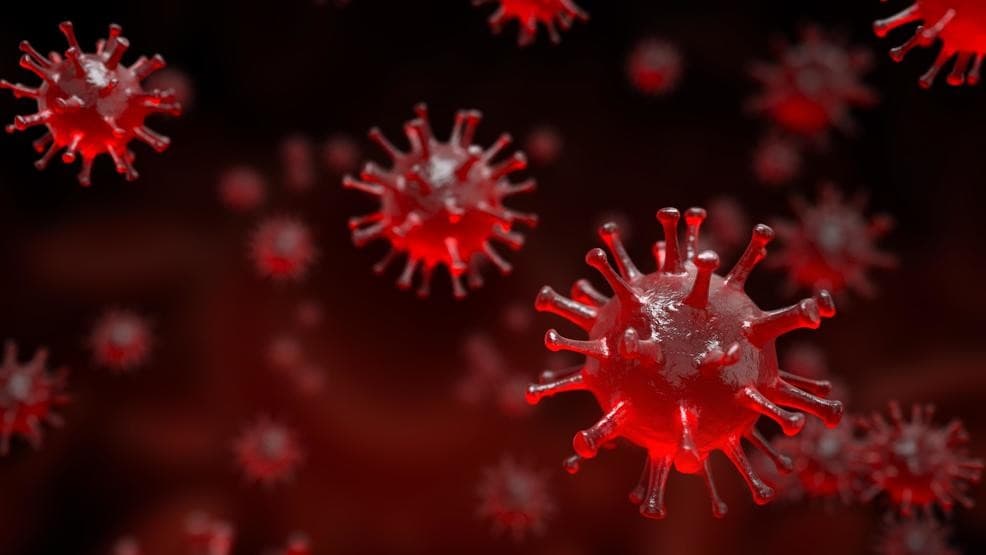 ამ ეტაპზე ინფიცირების აქტიური შემთხვევაა 23 925, საიდანაც 5 231 ადამიანი საავადმყოფოში მკურნალობს