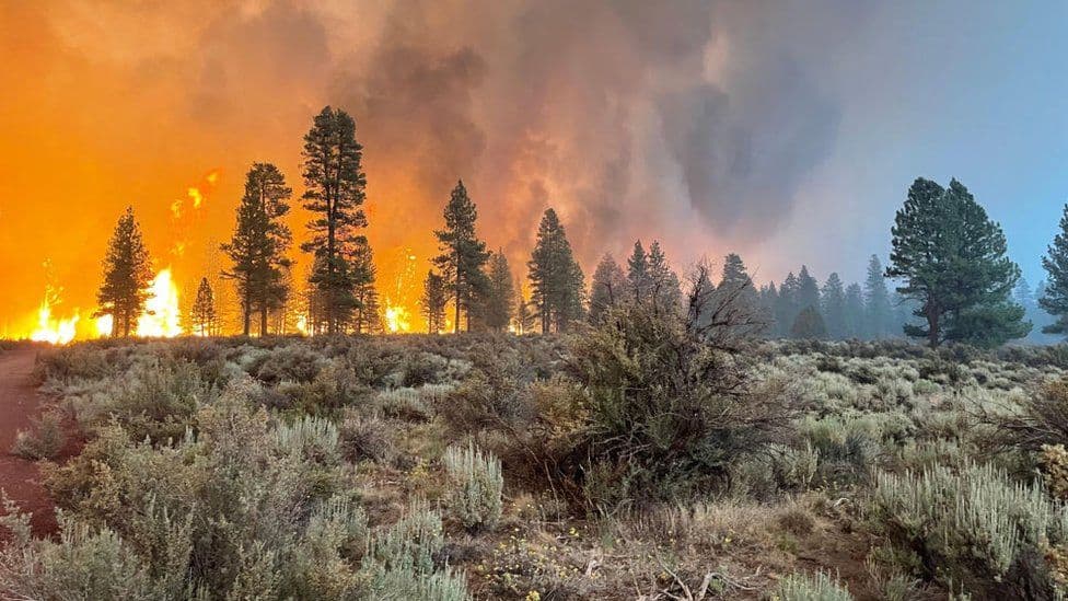 Oregon Bootleg Fire: Evacuations as largest US fire burns 364,000 acres