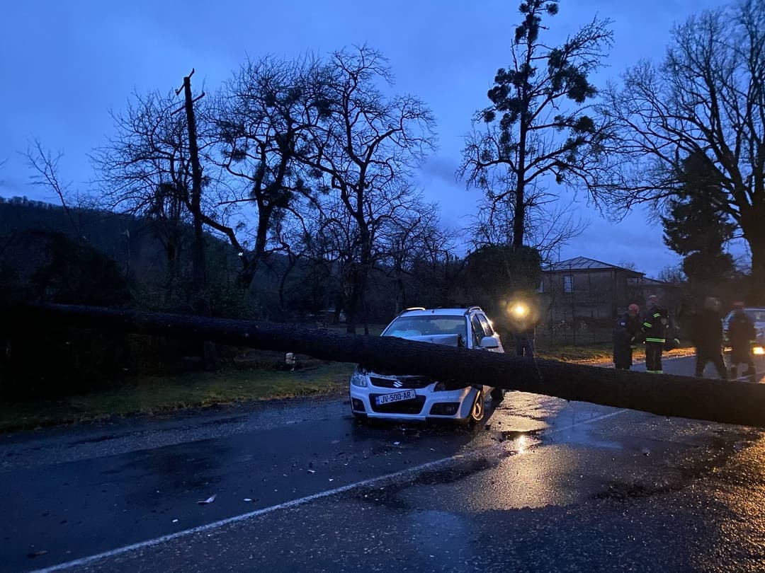 Strong winds hit western Georgian municipalities