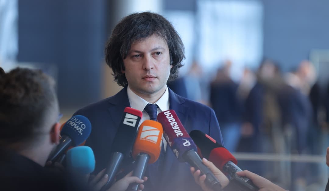 Georgian PM backs ruling party plans to propose anti-LGBT propaganda bill