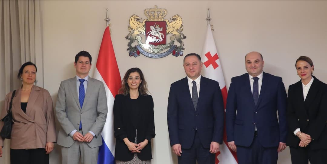 შინაგან საქმეთა მინისტრი ნიდერლანდების სამეფოს ელჩს შეხვდა