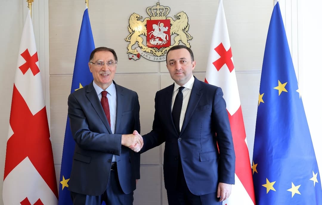 ირაკლი ღარიბაშვილი თურქეთის მთავარ ომბუდსმენს შეხვდა