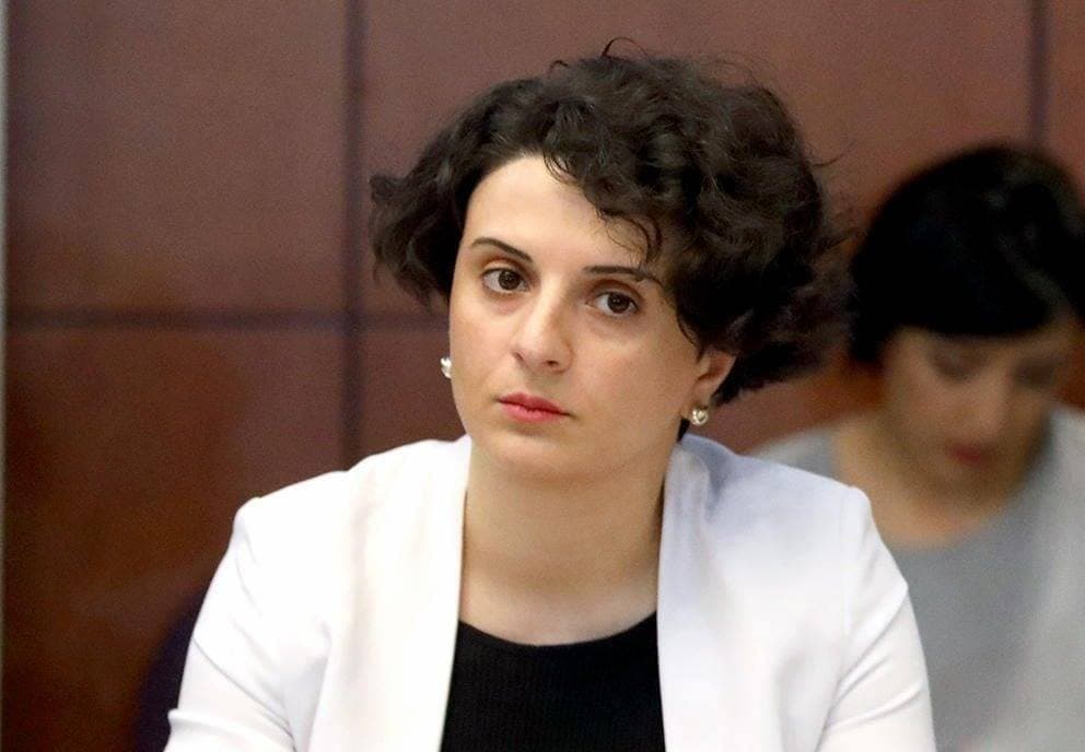 ნათია მეზვრიშვილი – პარტნიორებს დემოკრატიისა და კანონის უზენაესობის მიმართულებით პარტიის ინიციატივები გავაცანით