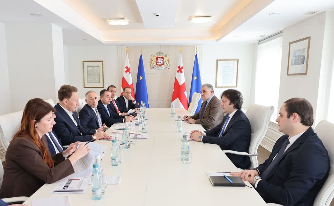 ირაკლი კობახიძე სამედიცინო ბიზნესის წარმომადგენლებს შეხვდა