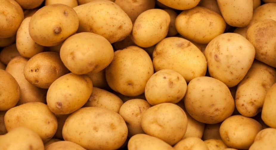 The 52,000 kilograms of diseased potatoes found in Sarpi will be returned to the exporting country