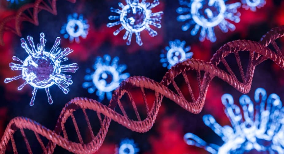 6 208 new cases of coronavirus have been detected in Georgia