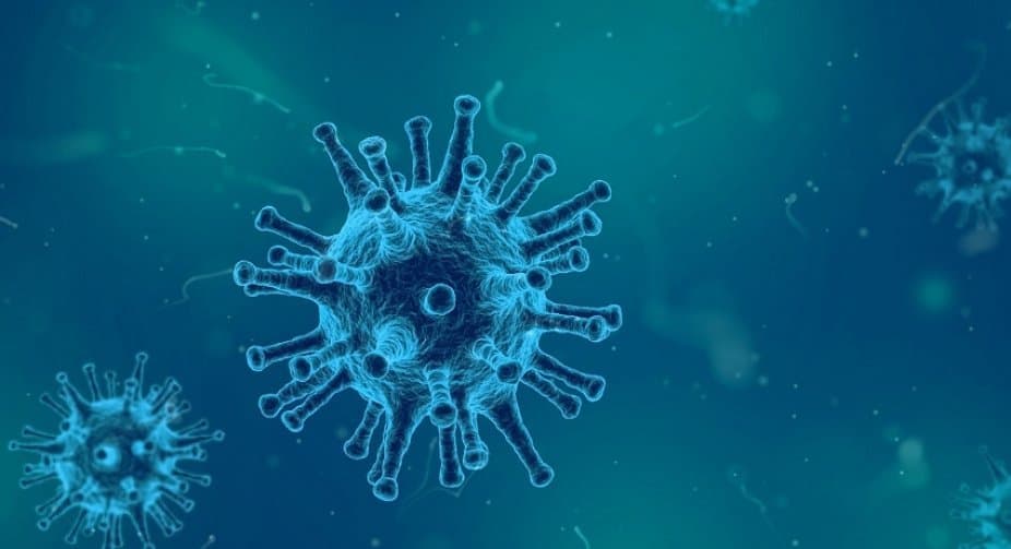 საქართველოში კორონავირუსის 217 ახალი შემთხვევა გამოვლინდა, 5 ადამიანი გარდაიცვალა