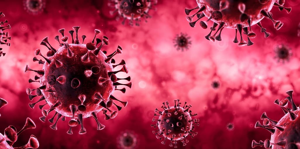 Covid deaths still high in Georgia, standing at 56