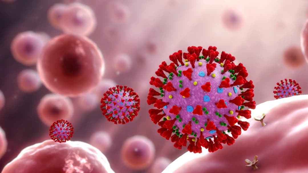 26 078 კოვიდინფიცირებულიდან საავადმყოფოებში 4 794 მკურნალობს