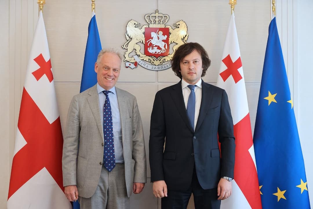 Georgian PM tells EU official controversial bill’s “sole purpose” transparency