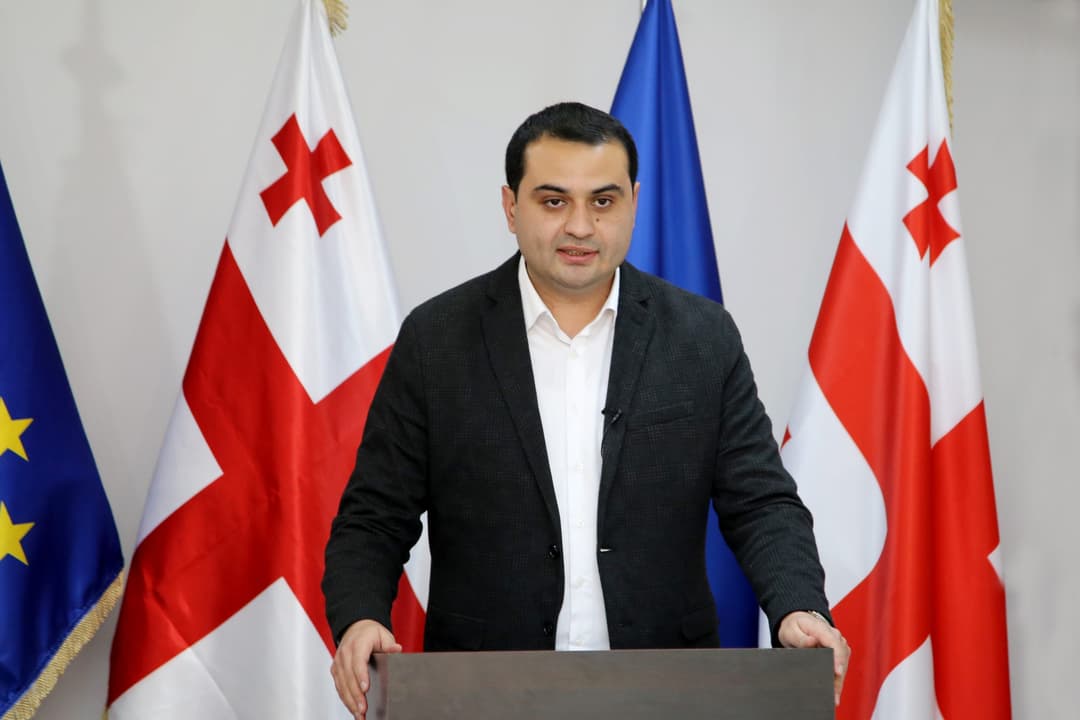 GD says UNM opposition activist stabbed Labour party supporter in Marneuli