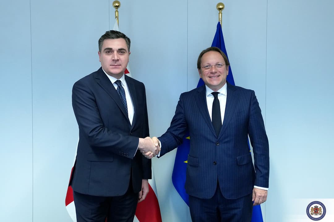 Georgian FM discusses country’s implementation of EU candidacy conditions with commissioner Varhelyi