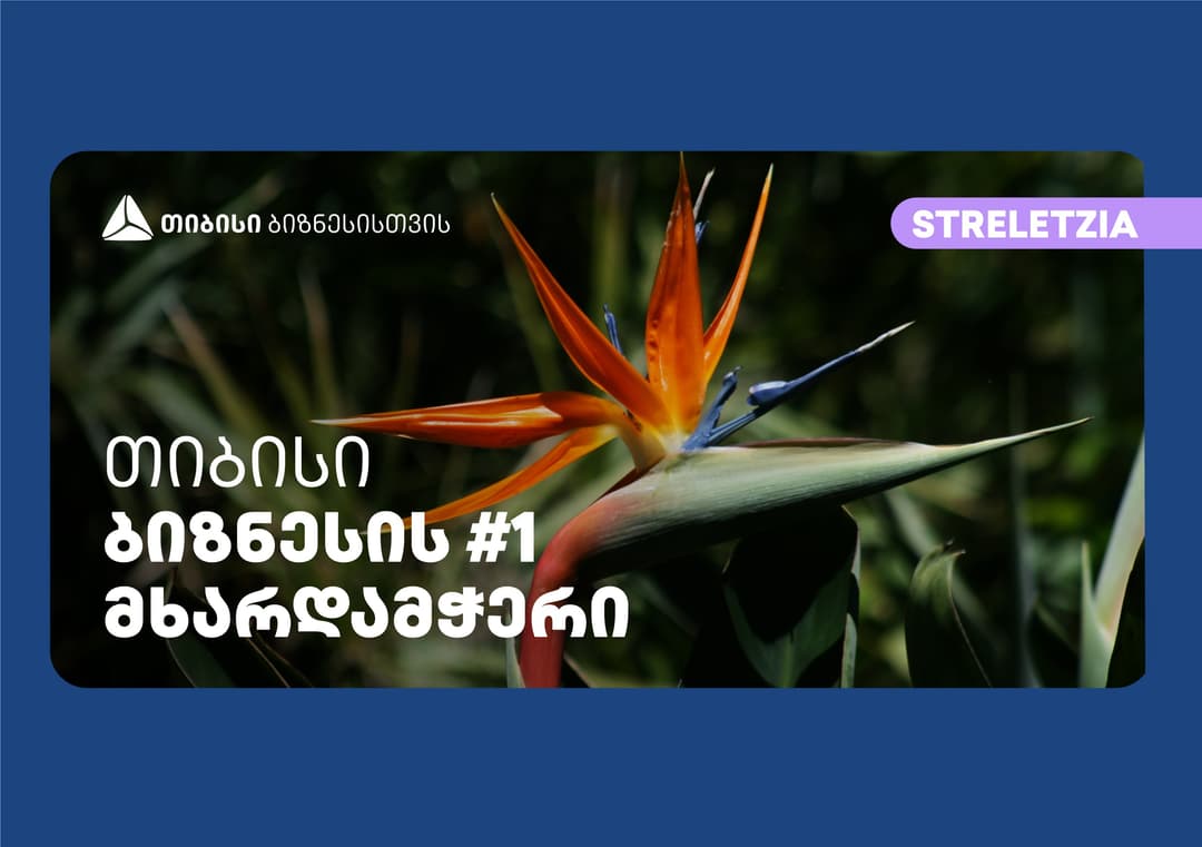 თიბისის მხარდაჭერით აშენებულ სათბურებში კომპანია “სტრელეციას“ საქართველოში უნიკალური მცენარეები გამოჰყავს
