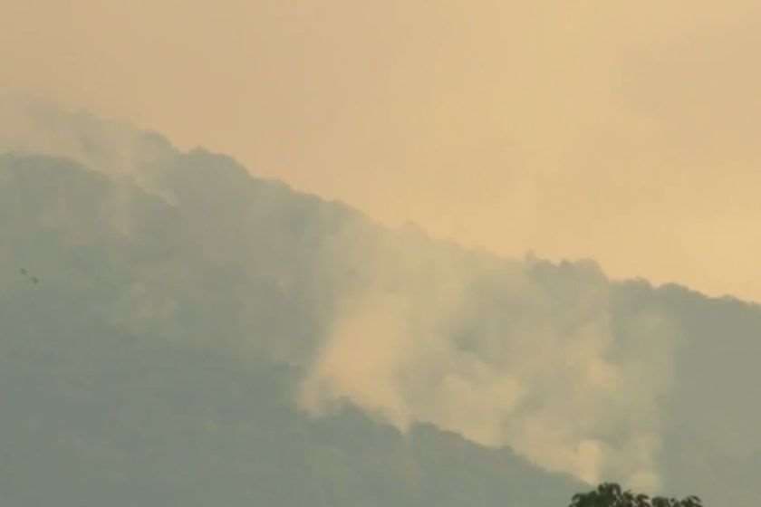 ყვარლის მუნიციპალიტეტში, ხანძარსაწინააღმდეგო მოქმედებებში თავდაცვის ძალები ჩაერთვებიან