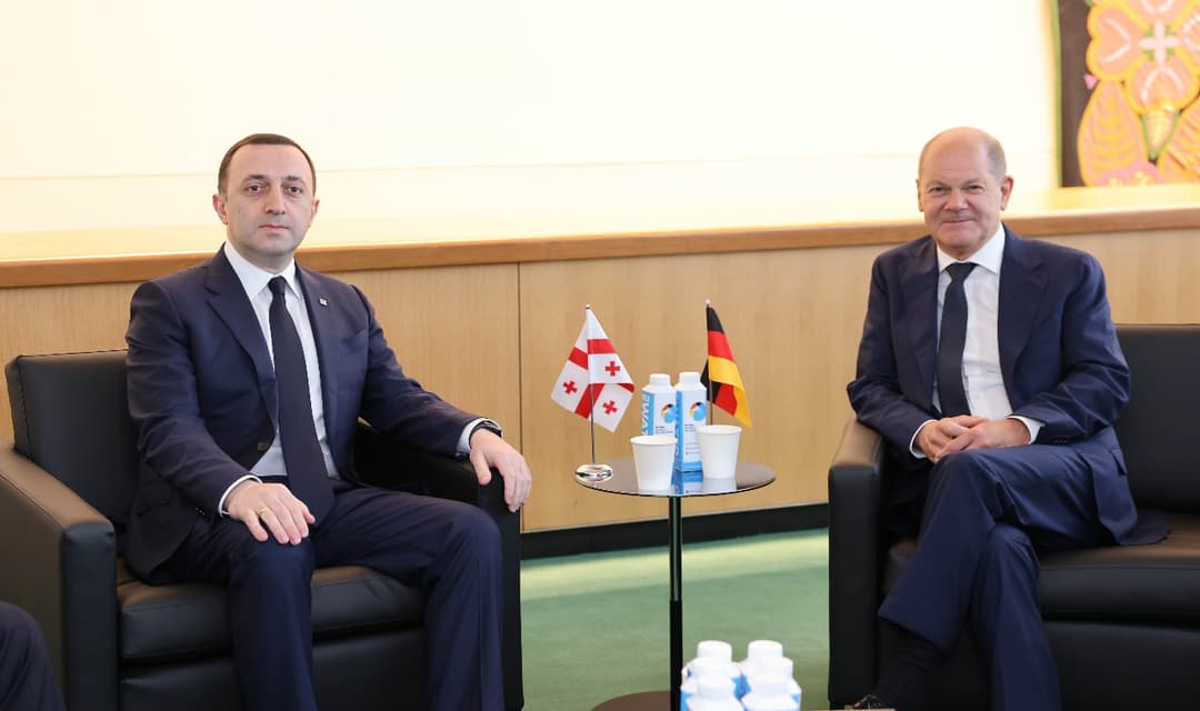 ირაკლი ღარიბაშვილი ოლაფ შოლცს შეხვდა