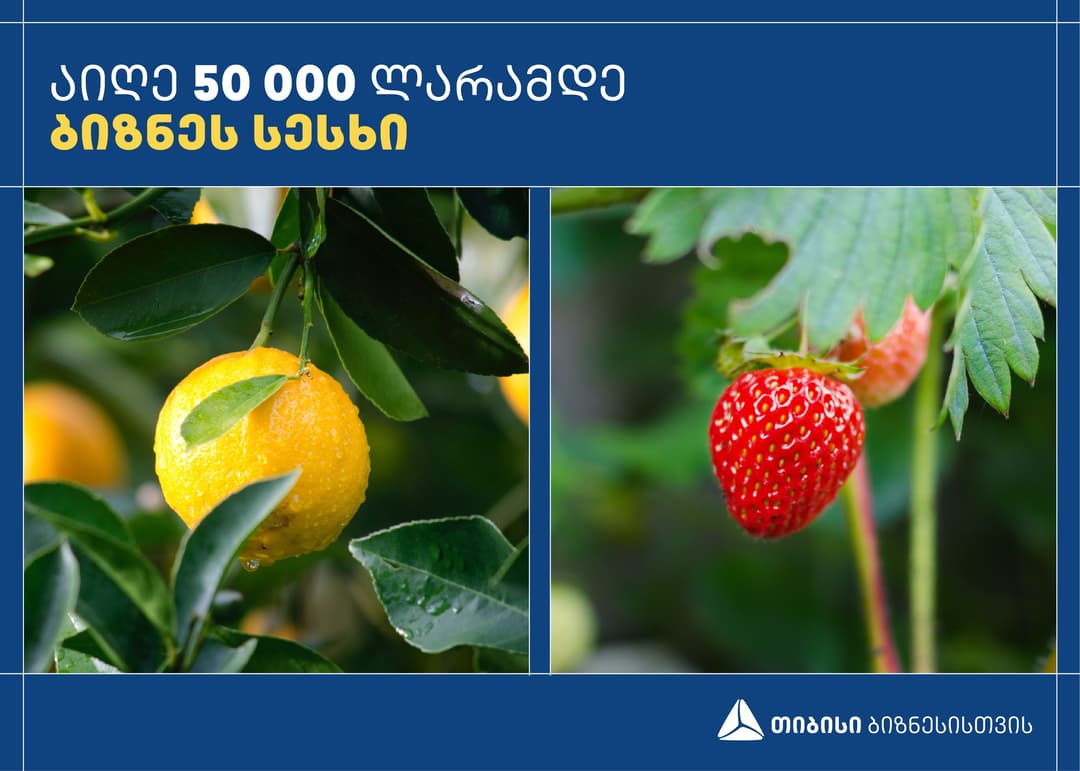 თიბისი ბიზნესი მცირე მეწარმეებს მათ მოთხოვნებზე მორგებულ დაკრედიტებას სთავაზობს