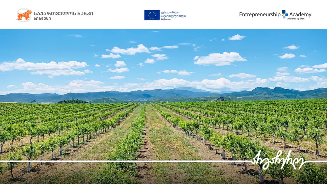 “საქართველოს ბანკის” “აგრო ბუღალტერიის პროგრამაში“ კომპანია “მკისა“ ჩაერთო