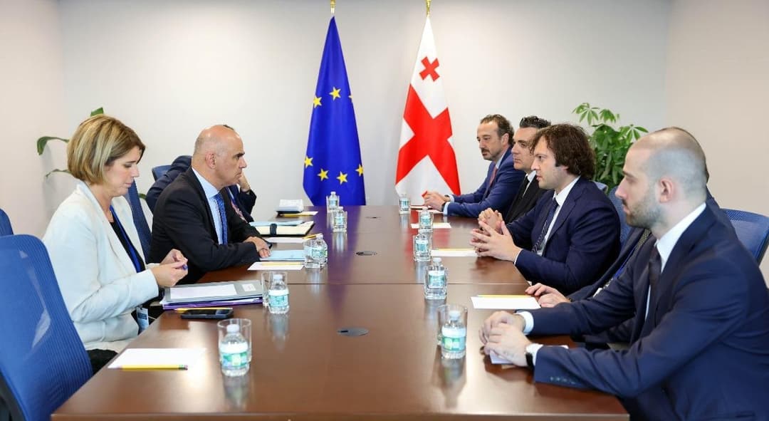 Georgian PM discusses expanding cooperation with Council of Europe Secretary-General