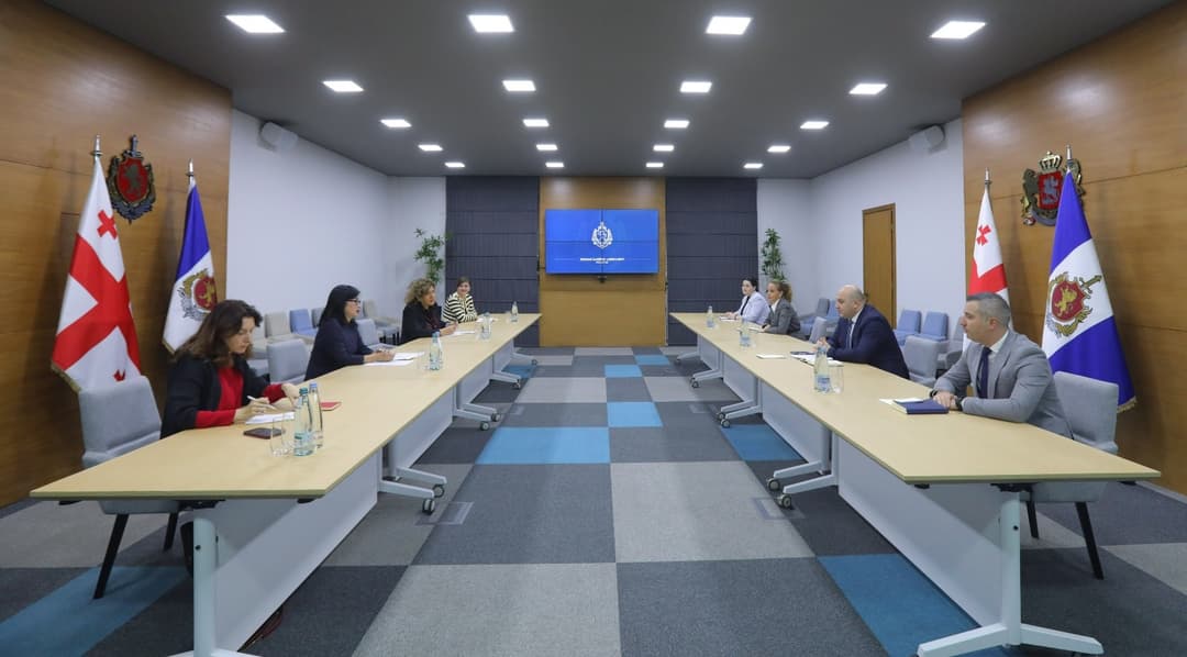 შს მინისტრის მოადგილემ საქართველოში გაეროს ქალთა ორგანიზაციის მისიის ხელმძღვანელთან სამუშაო შეხვედრა გამართა
