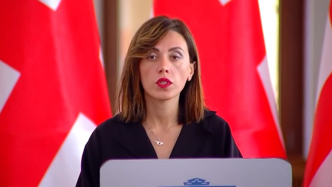 Ruling party bill on electoral commission staff’s election contradicts country’s EU candidacy goals – UNM MP