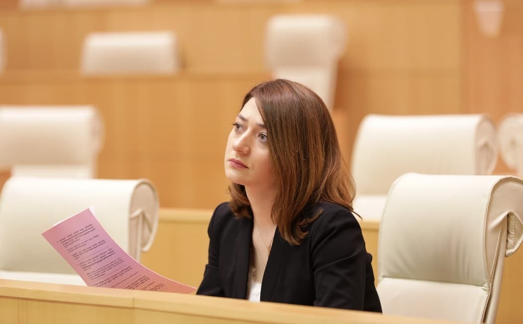 ანა ბუჩუკური – ჩვენ ბევრი ძალიან საინტერესო ადამიანი შემოგვიერთდება, ჯერ პოლიტიკური სვლები არც კი დაგვიწყია