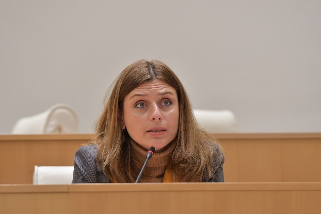 თეონა აქუბარდია – არასამთავრობო სექტორის არანაირ გამჭვირვალობას არ ცდილობთ, თქვენ ცდილობთ ძალაუფლების შენარჩუნებას!