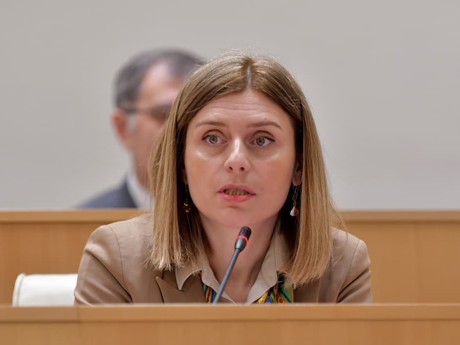 თეონა აქუბარდია – მოვუწოდებ პარლამენტის თითოეულ დეპუტატს, გავაკეთოთ ერთობლივი მიმართვა ნატოს წევრი ქვეყნებისადმი