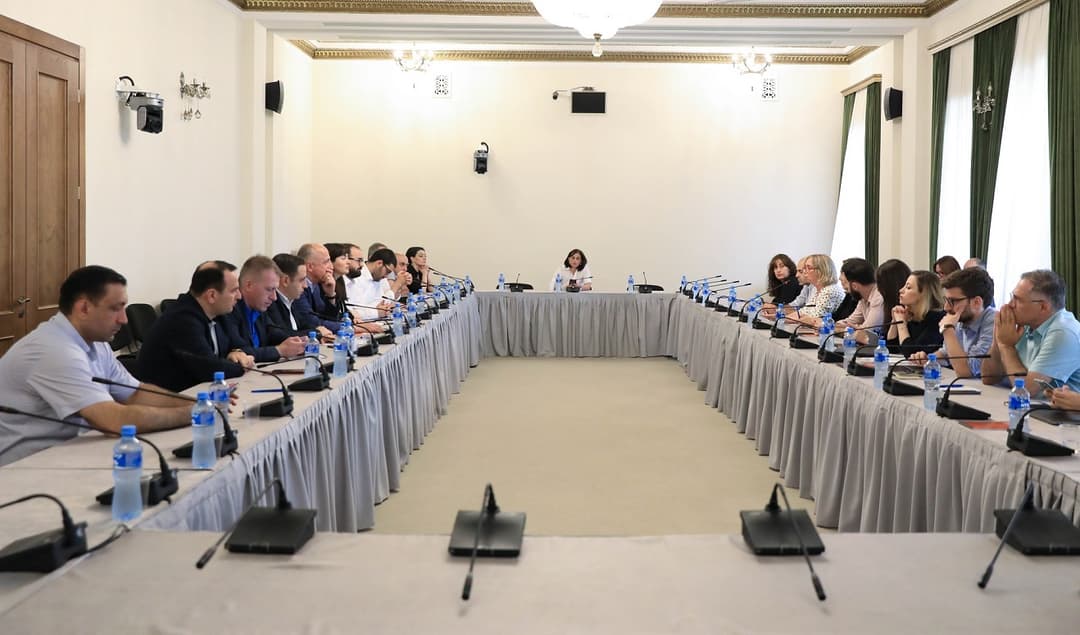 საპარლამენტო ოპოზიციის წევრები არასამთავრობო ორგანიზაციების წარმომადგენლებს შეხვდნენ