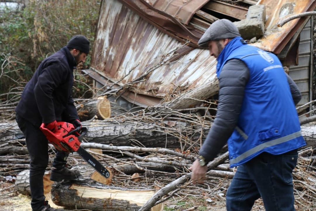 ძლიერმა ქარმა თბილისის სხვადასხვა რაიონში პრობლემები შექმნა