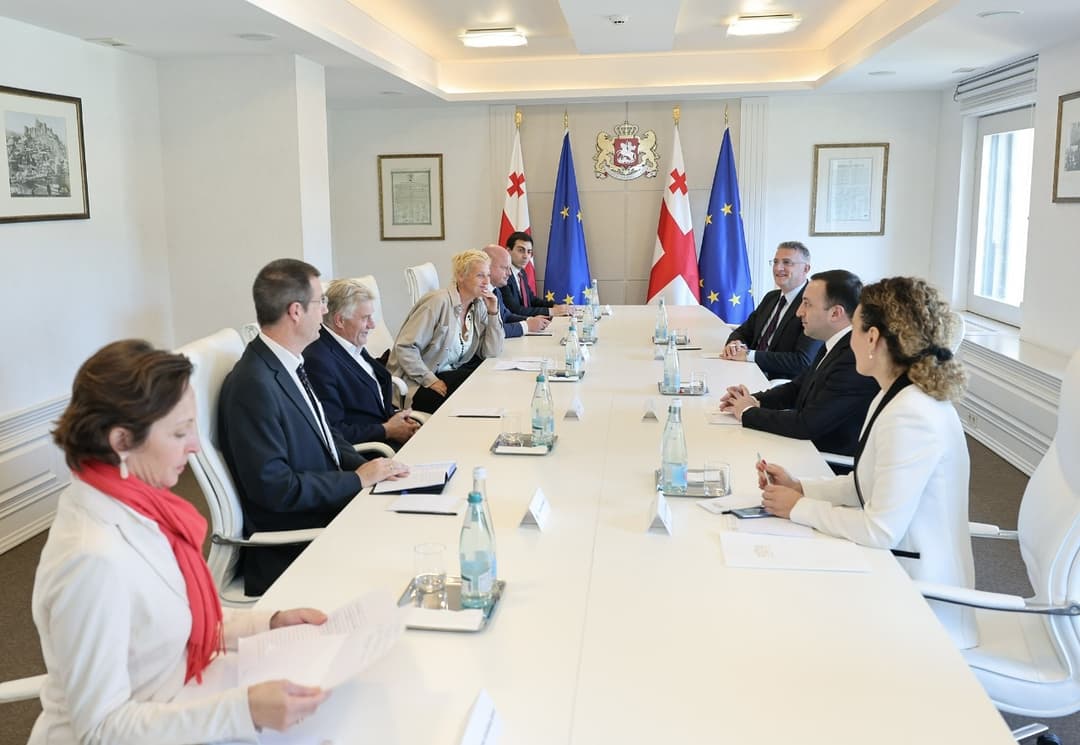 ირაკლი ღარიბაშვილი ავსტრიის საპარლამენტო დელეგაციას შეხვდა