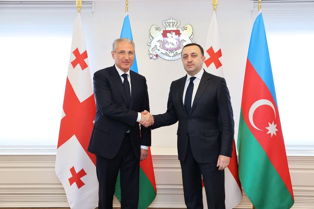 ირაკლი ღარიბაშვილი აზერბაიჯანის ეკოლოგიისა და ბუნებრივი რესურსების მინისტრს შეხვდა