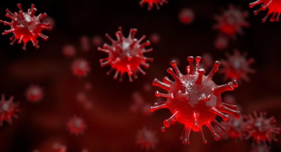 Coronavirus: Georgia reports 4,031 new cases, 4,585 recoveries, 73 deaths