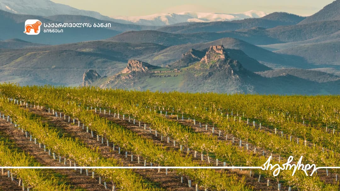 “საქართველოს ბანკის” მხარდაჭერით, კომპანია „მკისამ“ ბოლნისში ნუშის ბაღები გააშენა
