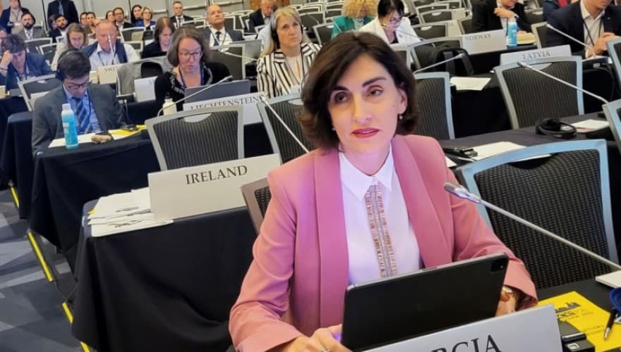 მაკა ბოჭორიშვილი ეუთო-ს საპარლამენტო ასამბლეის სესიაზე სიტყვით გამოვიდა