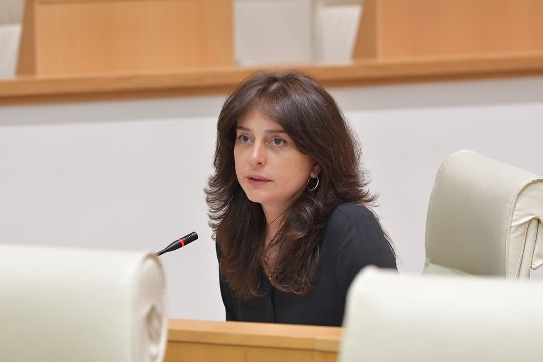 მაია ბითაძე – ქვეყანამ თქვენ კი არა, გაუძლო მთელი მუსულმანური სამყაროს და რუსეთის ყველა მცდელობას, რომ ეს ქვეყანა გაენულებინა, თქვენც გაგიძლებთ