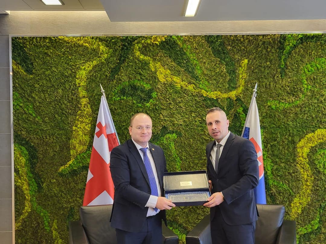 ირაკლი ბერაია სლოვაკეთის თავდაცვის სამინისტროს სახელმწიფო მდივანს შეხვდა