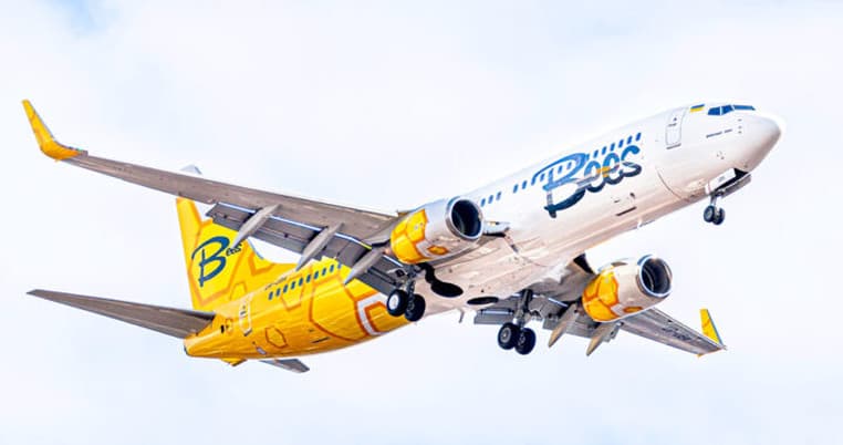 ავიაკომპანია Bees Airline საქართველოს მიმართულებით რეგულარული ფრენების სიხშირეს ზრდის