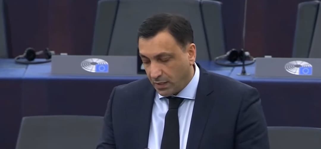 UNM leader advocates for ex-Pres Saakashvili’s release at PACE session