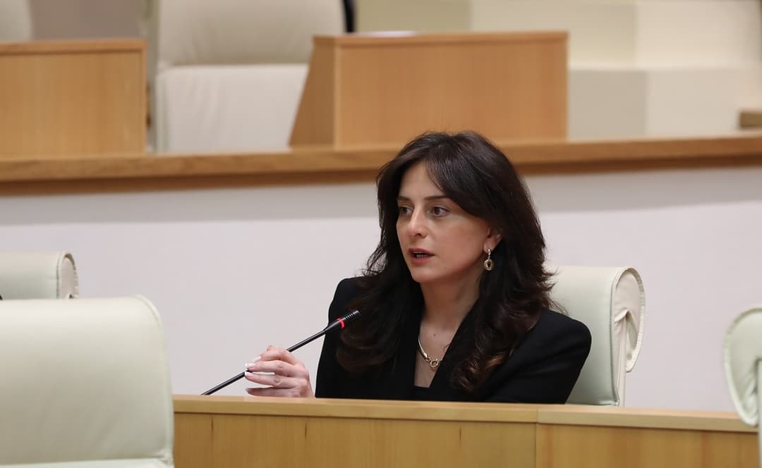 მაია ბითაძე – იმედი მაქვს, მოსახლეობა გაგებით მოეკიდება კანონპროექტის მთავარ შინაარსს, რომ მკაცრად დაისაჯოს ყველა, ვინც არაადამიანურად მოეპყრობა ცხოველს