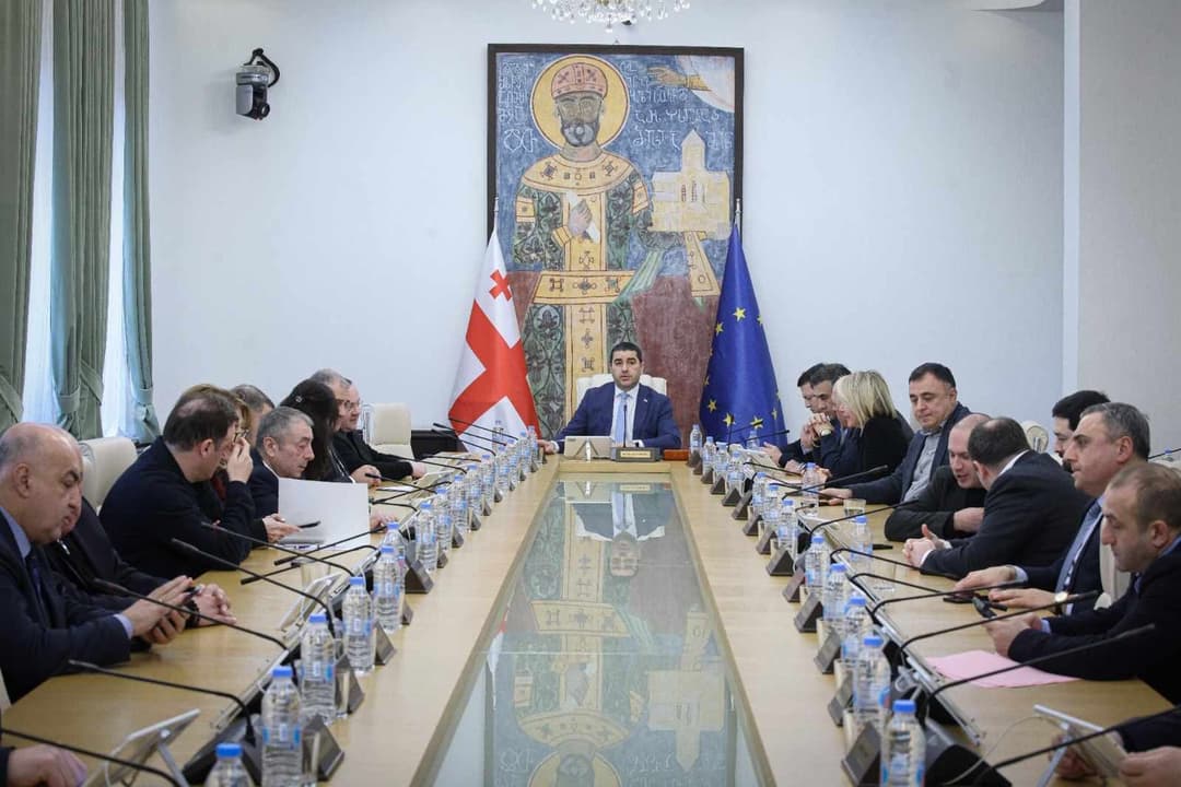 მიმდინარე კვირაში პარლამენტში ლაშა ხუციშვილს და ნათია თურნავას მოუსმენენ