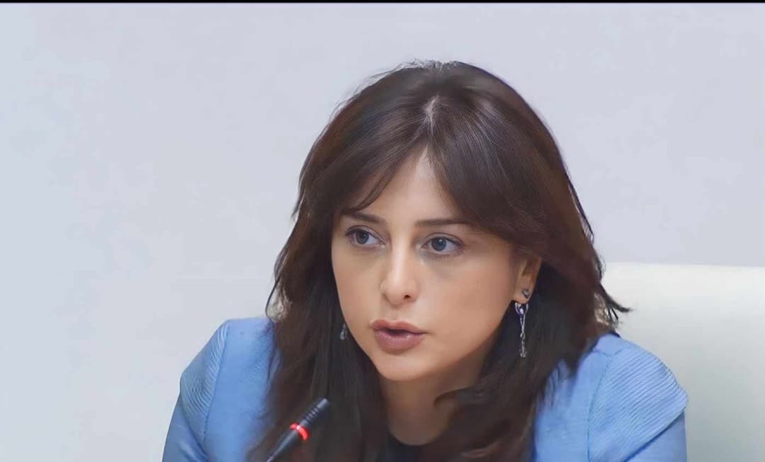 მაია ბითაძე – წელს ოთხი ახალი კანონი მივიღეთ და არც ერთი თქვენი მხარდაჭერა არ არის დაფიქსირებული, მოცდენილი ხართ რუსული პრესის კითხვით