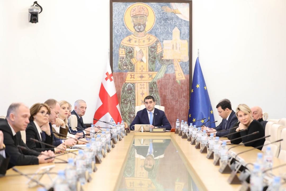 პარლამენტი სახალხო დამცველობის კანდიდატურას კენჭს უყრის