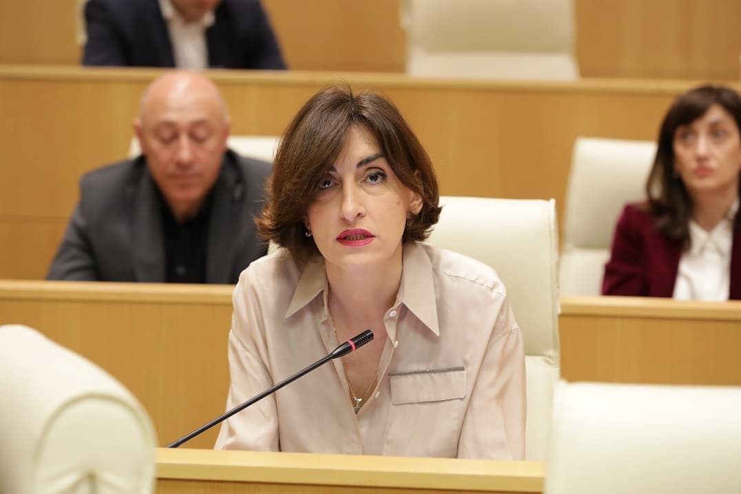 მაკა ბოჭორიშვილი – ამის საფუძვლები არის ძალიან კარგად გაწერილი და ეს საფუძვლები საქართველოსთან მიმართებაში არ არსებობს